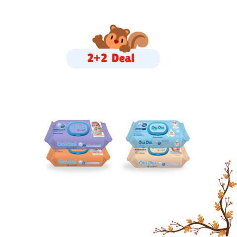 2+2 Wipes