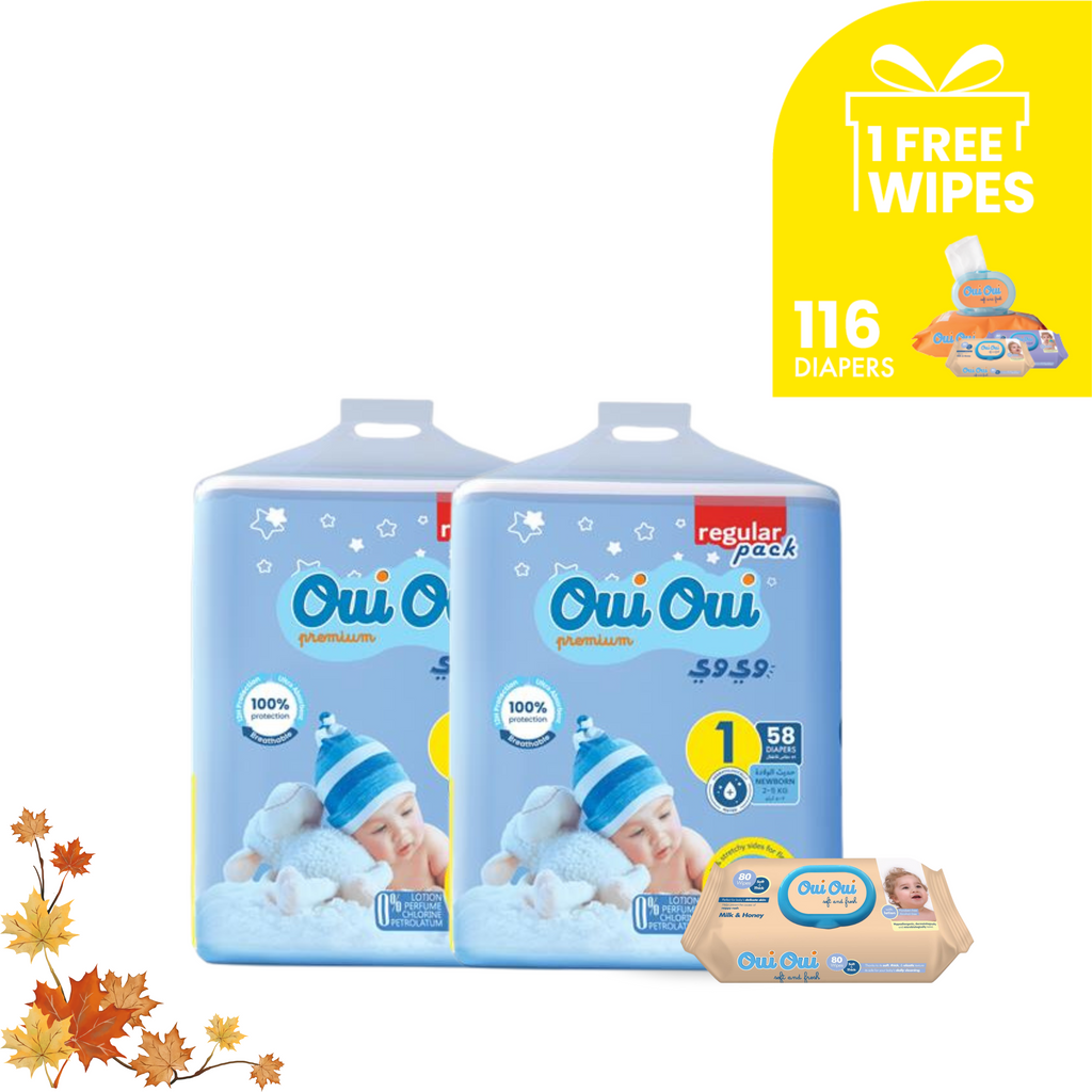 2 Regular Packs -Size 1+ 1 wipes