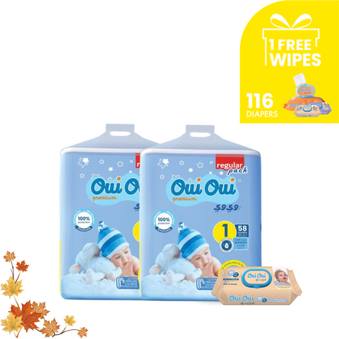2 Regular Packs -Size 1+ 1 wipes